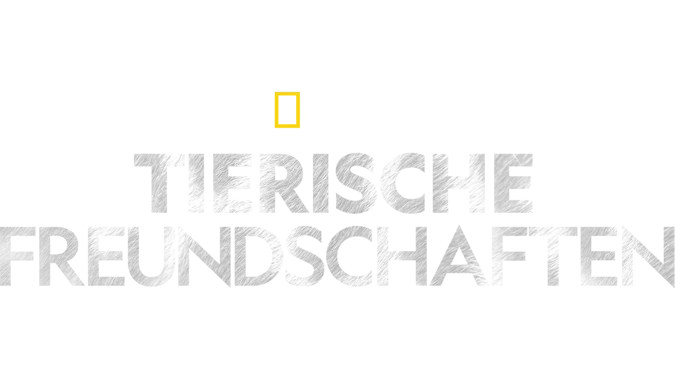 Tierische Freundschaften