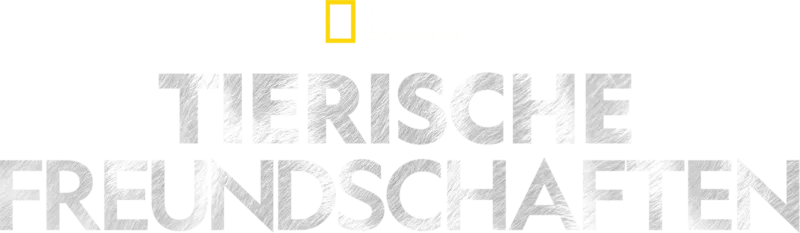 Tierische Freundschaften