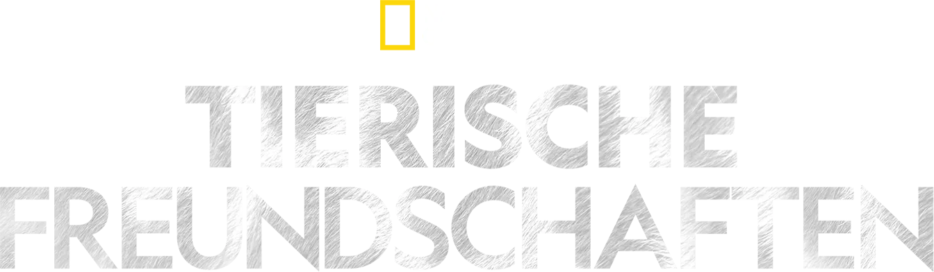 Tierische Freundschaften