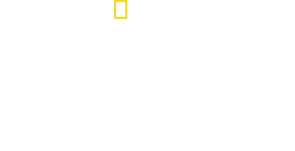 Przedziwna planeta Ziemia