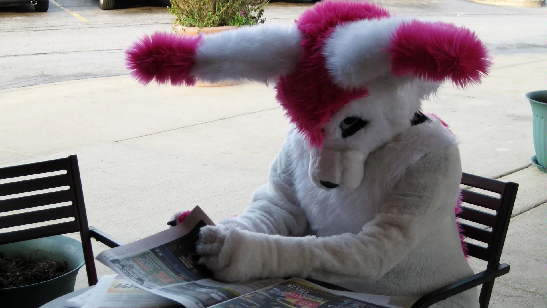 thumbnail - S1:E7 Eats Couch Cushion/Furry
