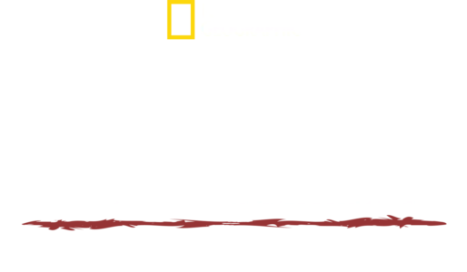 Πρωτόγονη Επιβίωση: Απόδραση από τον Αμαζόνιο