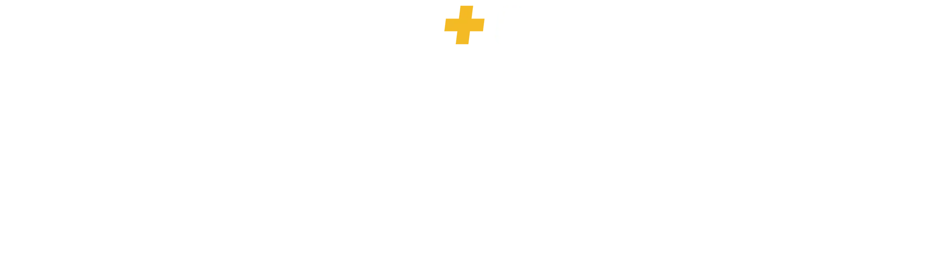Quest for the Stanley Cup