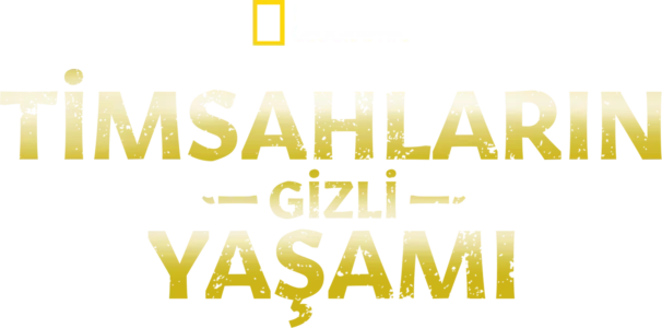 Timsahların Gizli Yaşamı