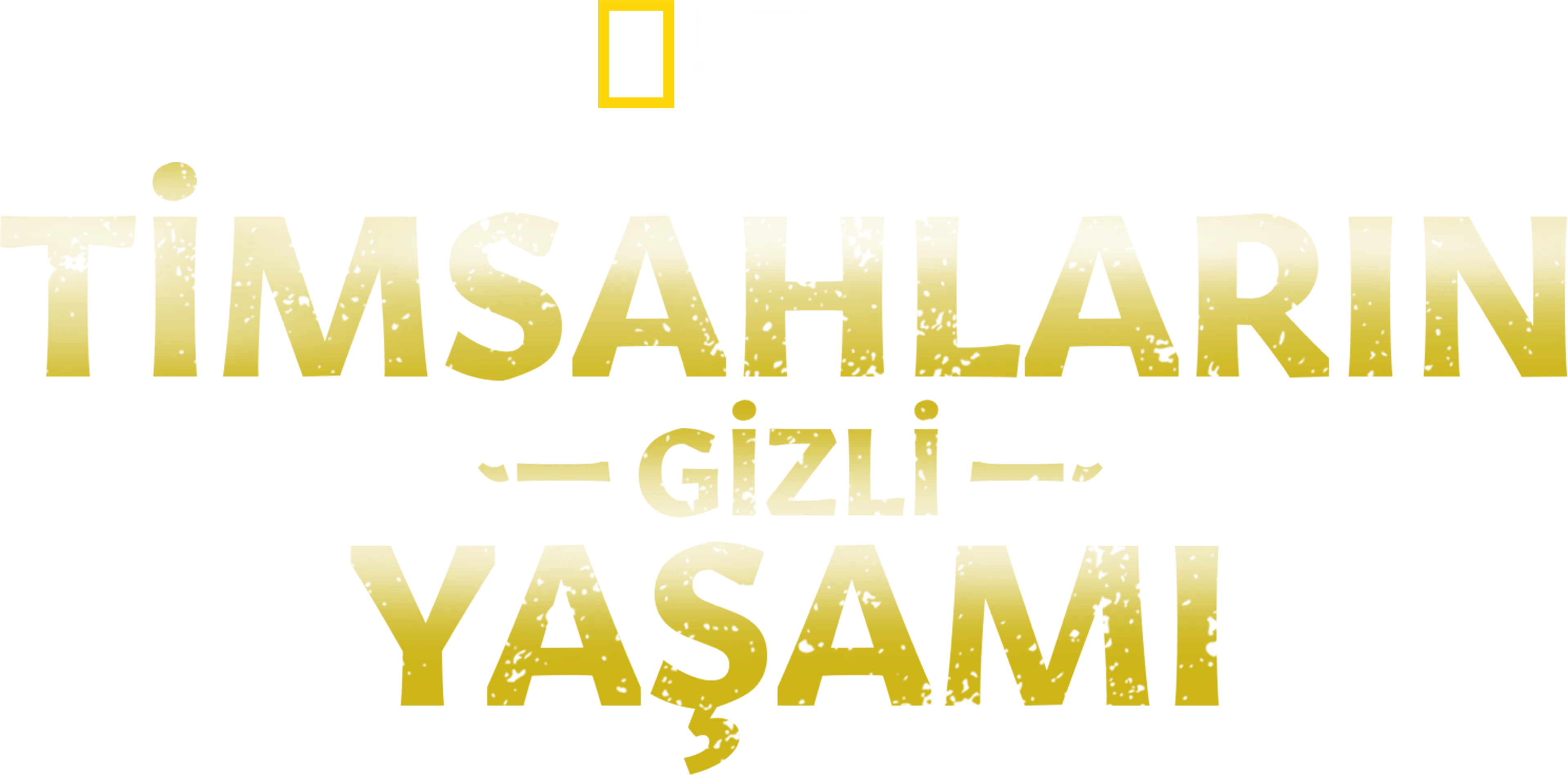 Timsahların Gizli Yaşamı