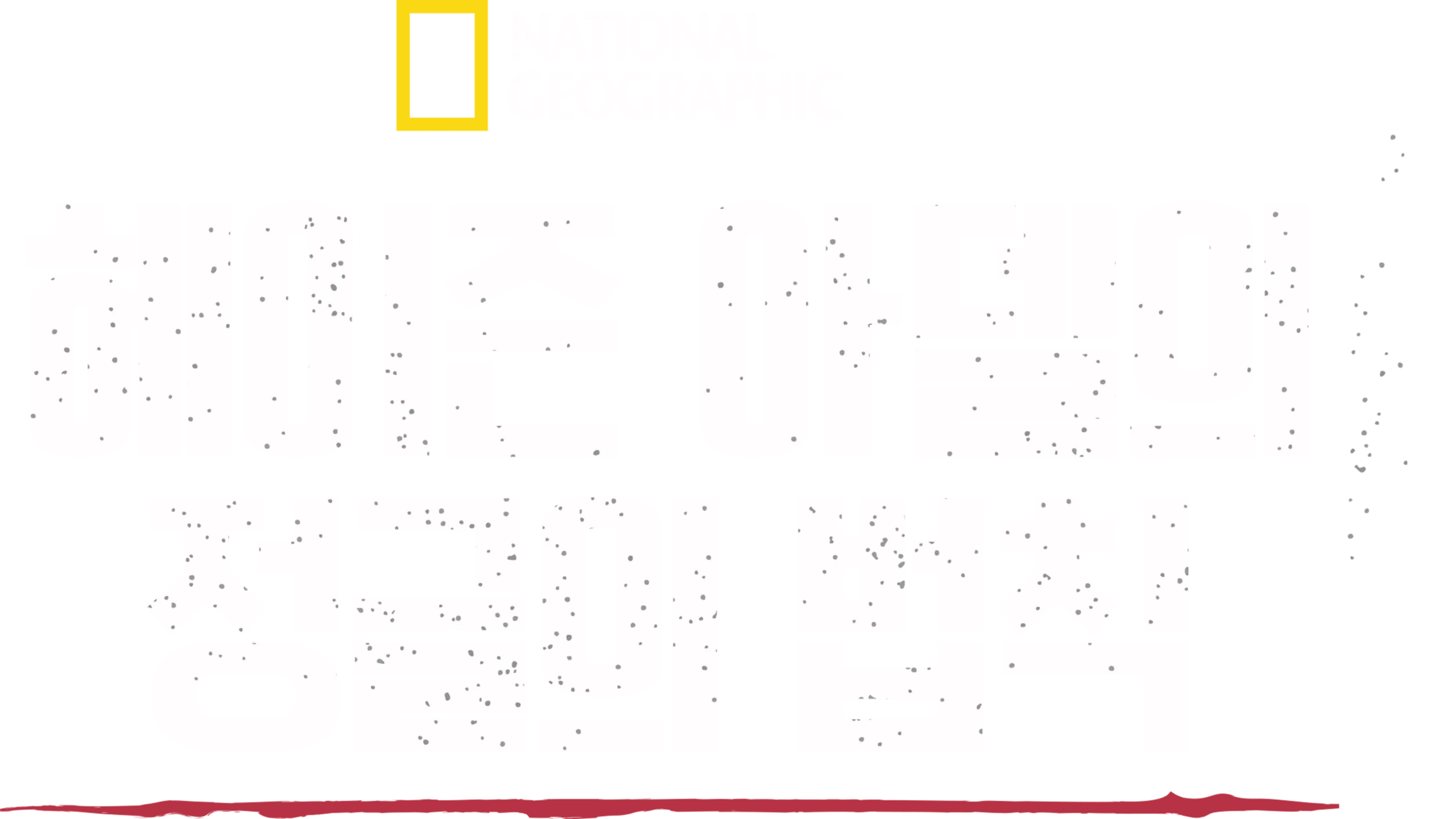 헤이즌 아델의 정글의 법칙