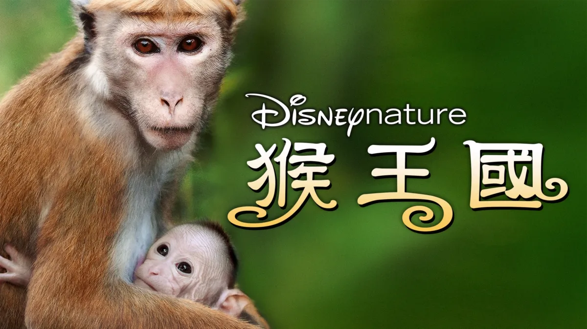 觀看《猴王國》| Disney+