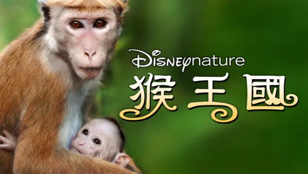 thumbnail - 猴王國