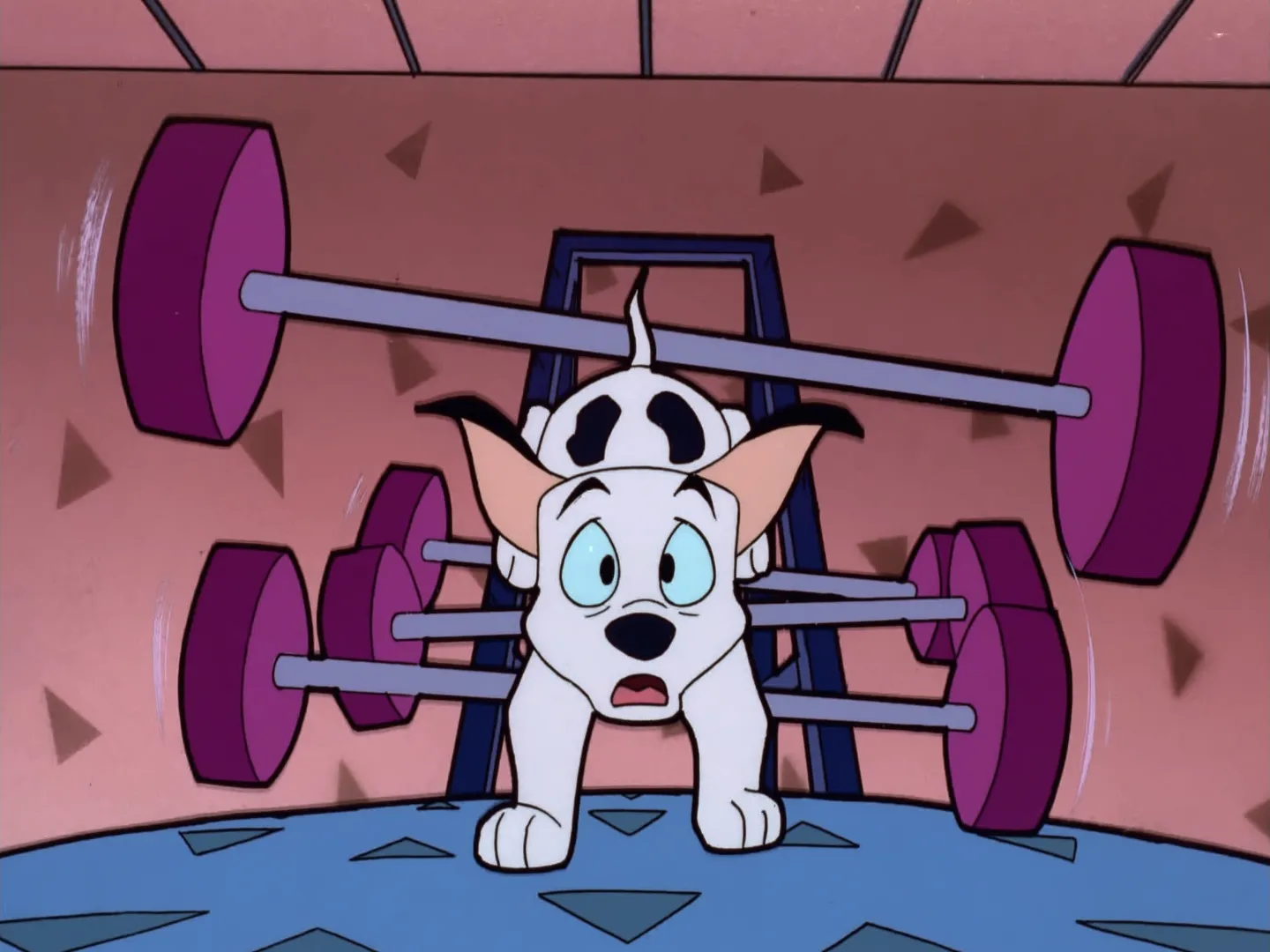 thumbnail - S1:E7 Spots And Shots / On the Lamb