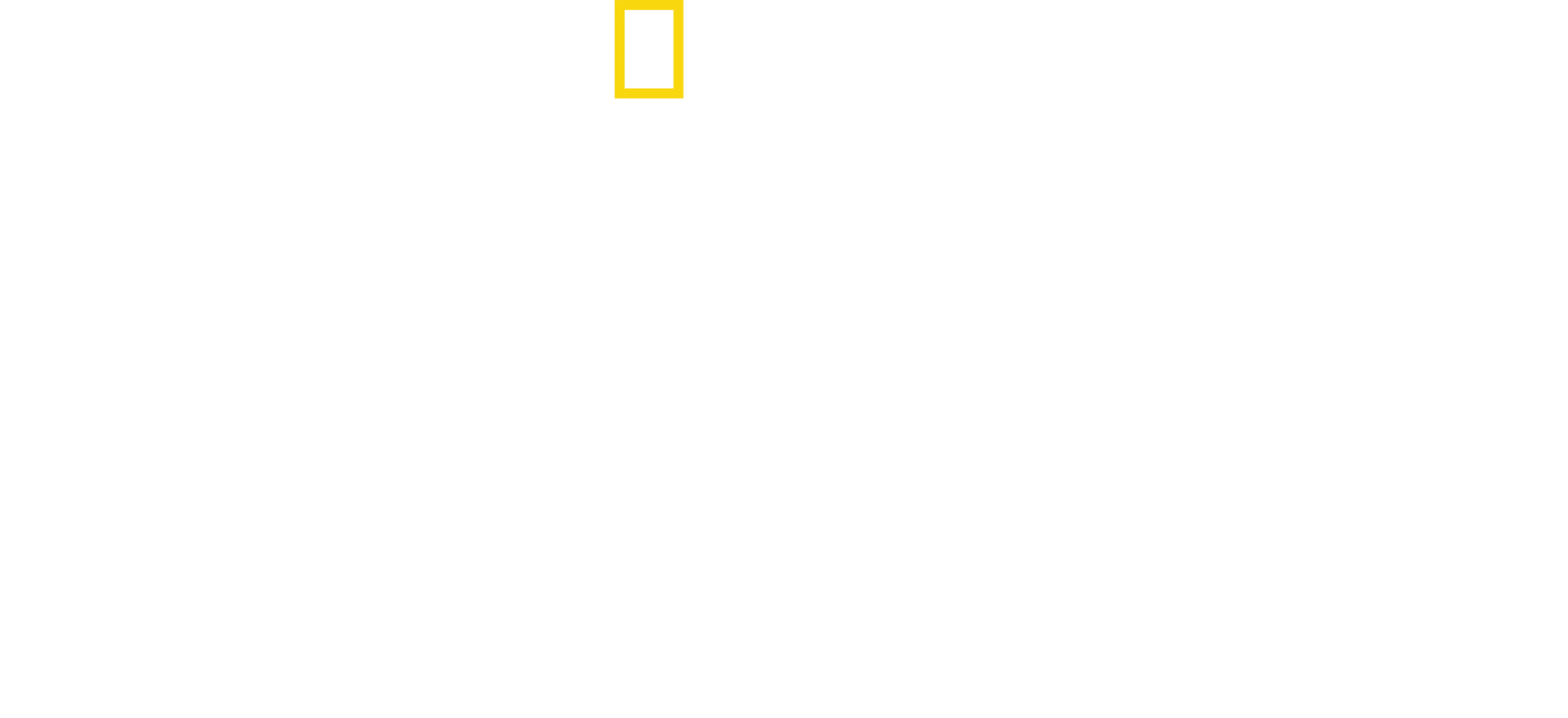大白鯊對上虎鯨：三振出局