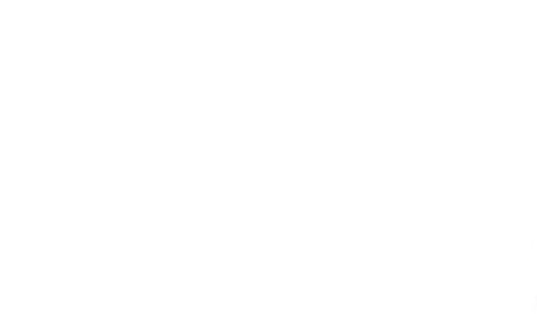 As Duas Gémeas