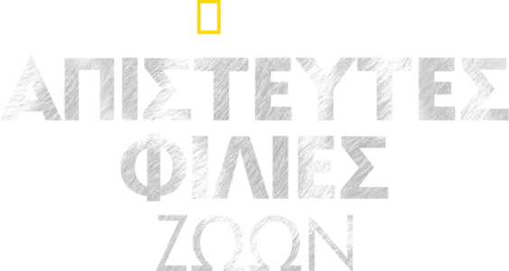 Απίστευτες Φιλίες Ζώων