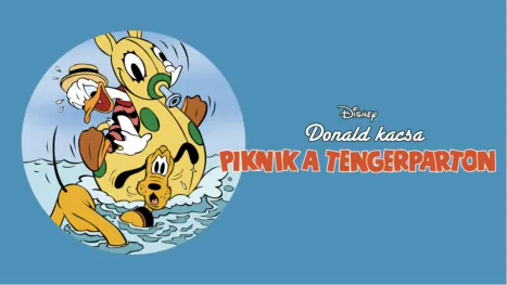 thumbnail - Piknik a tengerparton