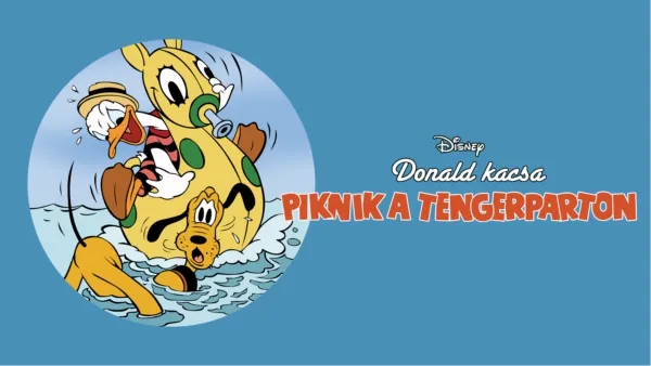 thumbnail - Piknik a tengerparton