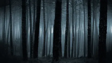 Alone: An Inside Look