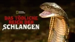 thumbnail - Das tödliche Reich der Schlangen