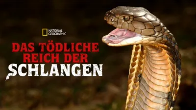 Das tödliche Reich der Schlangen