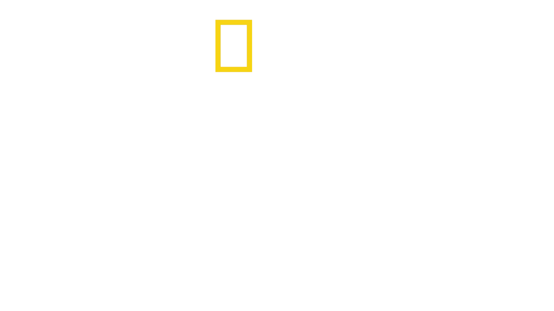 우리 침팬지를 소개합니다