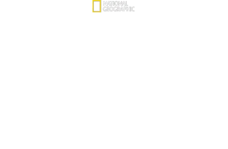 Magic of Disney’s Animal Kingdom《迪士尼神奇動物王國》