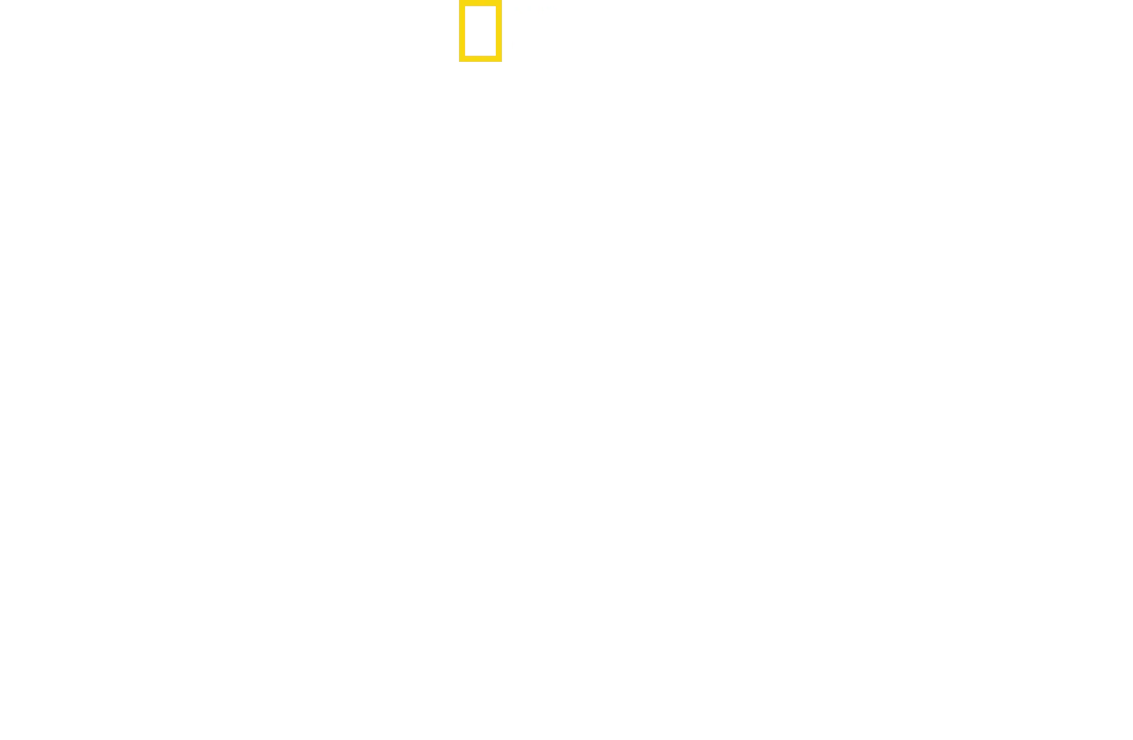 Magic of Disney’s Animal Kingdom《迪士尼神奇動物王國》