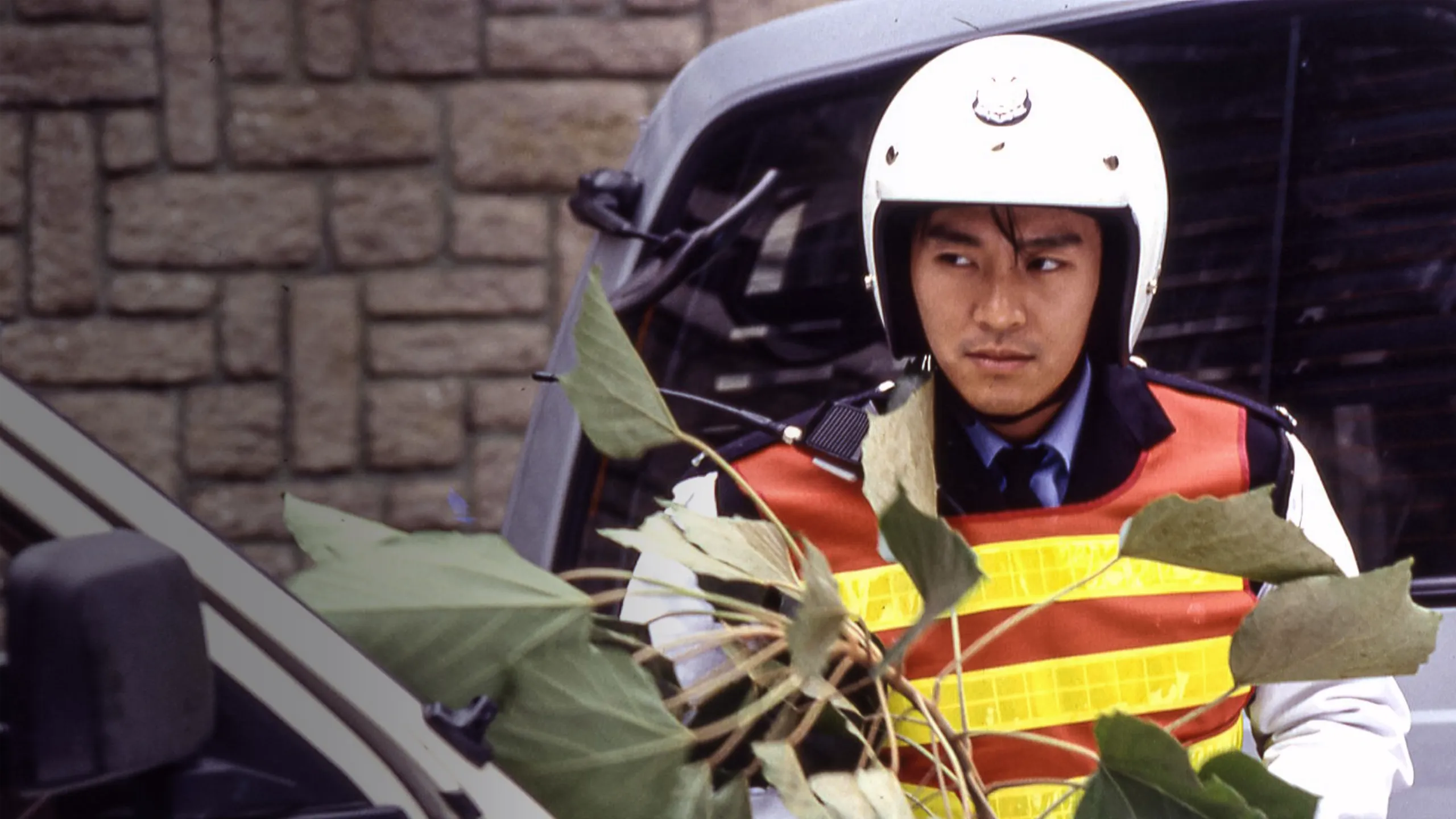 Fight Back To School II