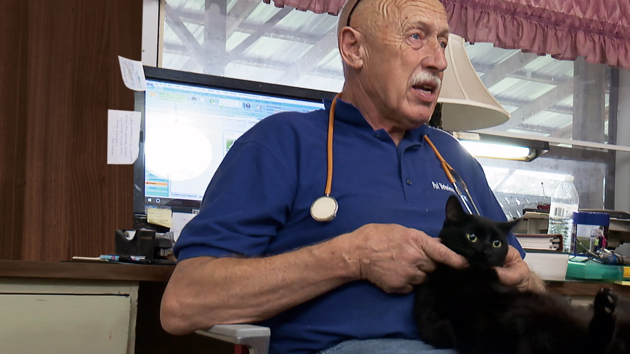 Incredible Dr. Pol: A 200th Polapalooza