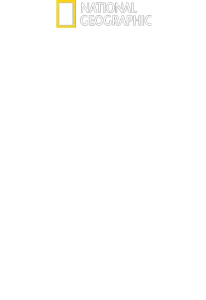 Air Force One: l’aereo del Presidente
