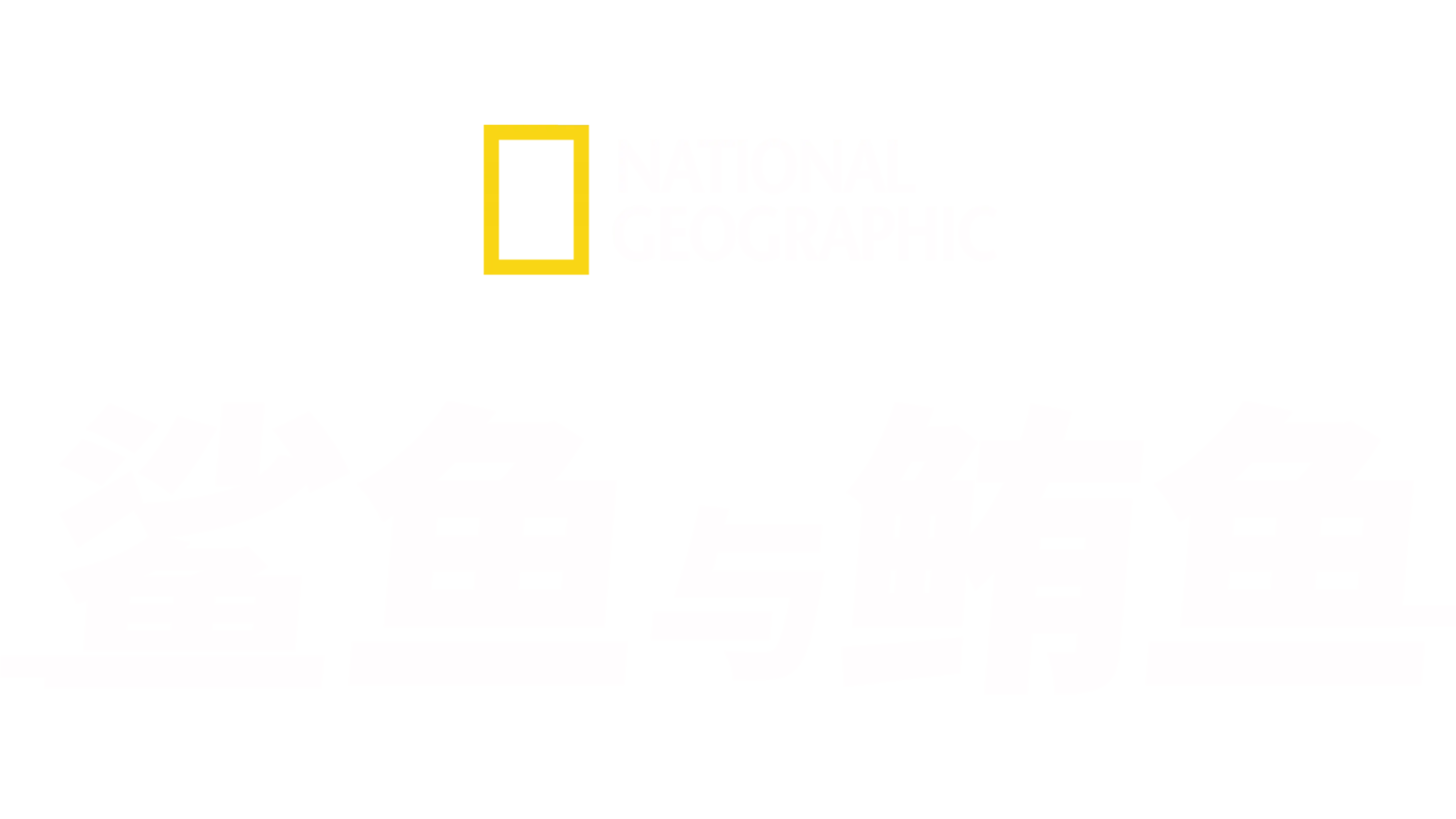 鲨鱼与鲔鱼