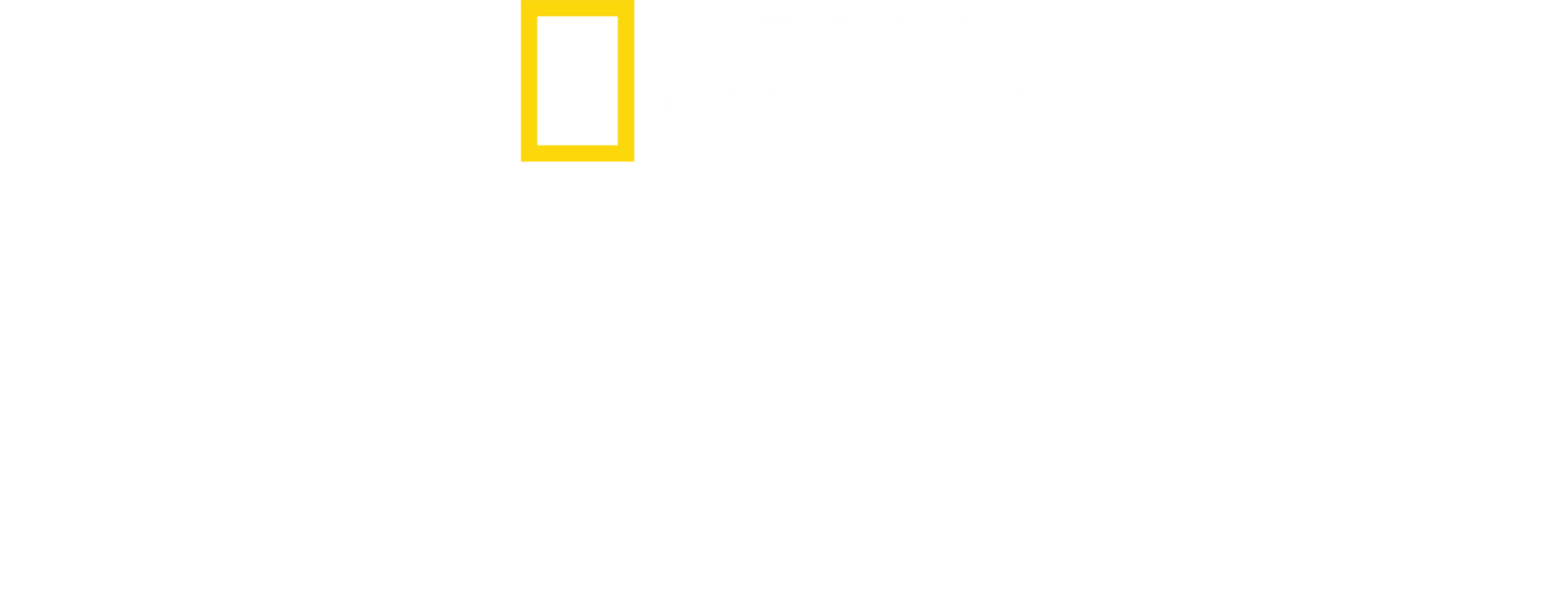 鲨鱼与鲔鱼