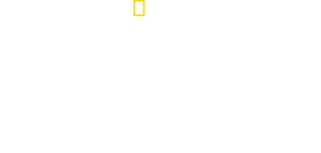 Los tiburones más buscados
