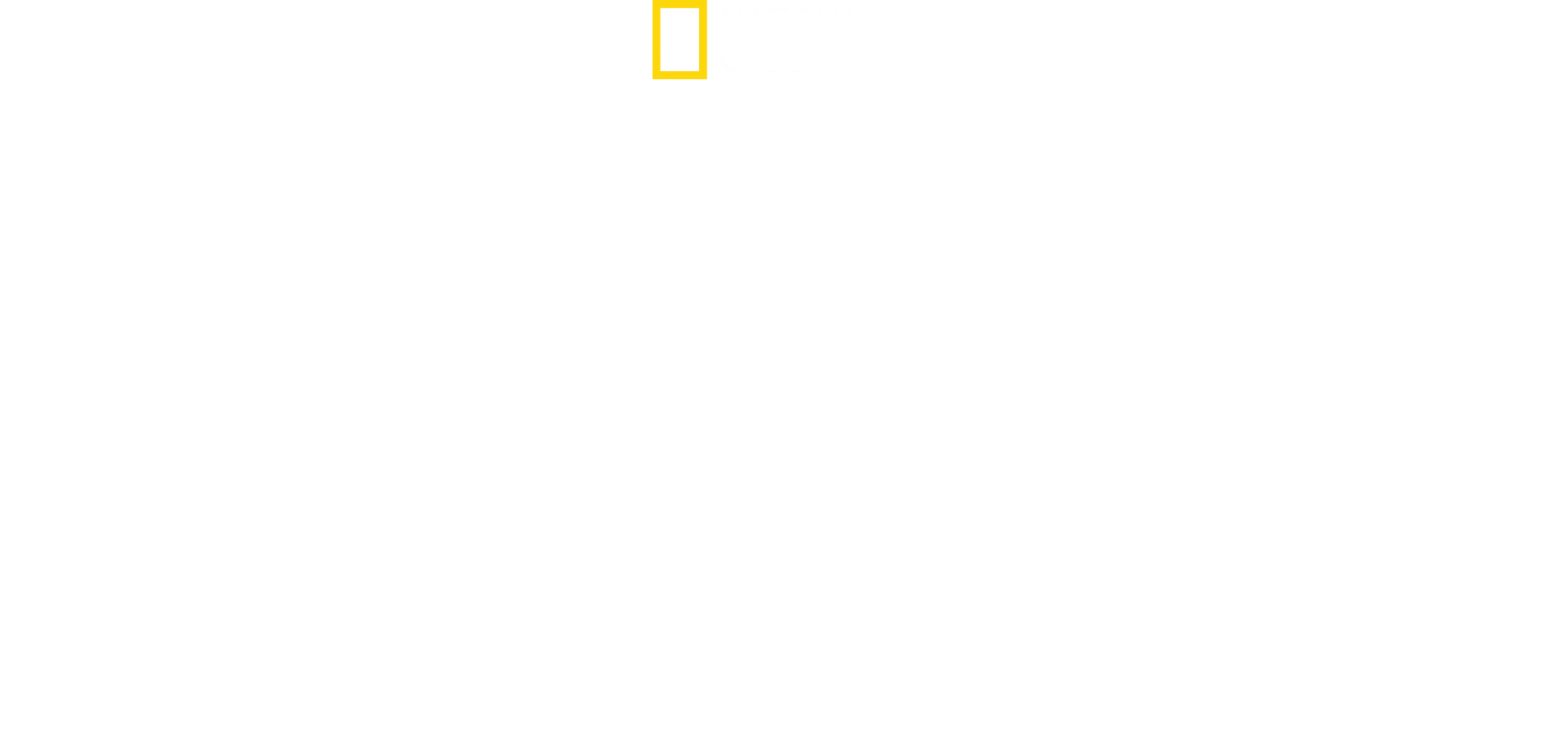 Los tiburones más buscados