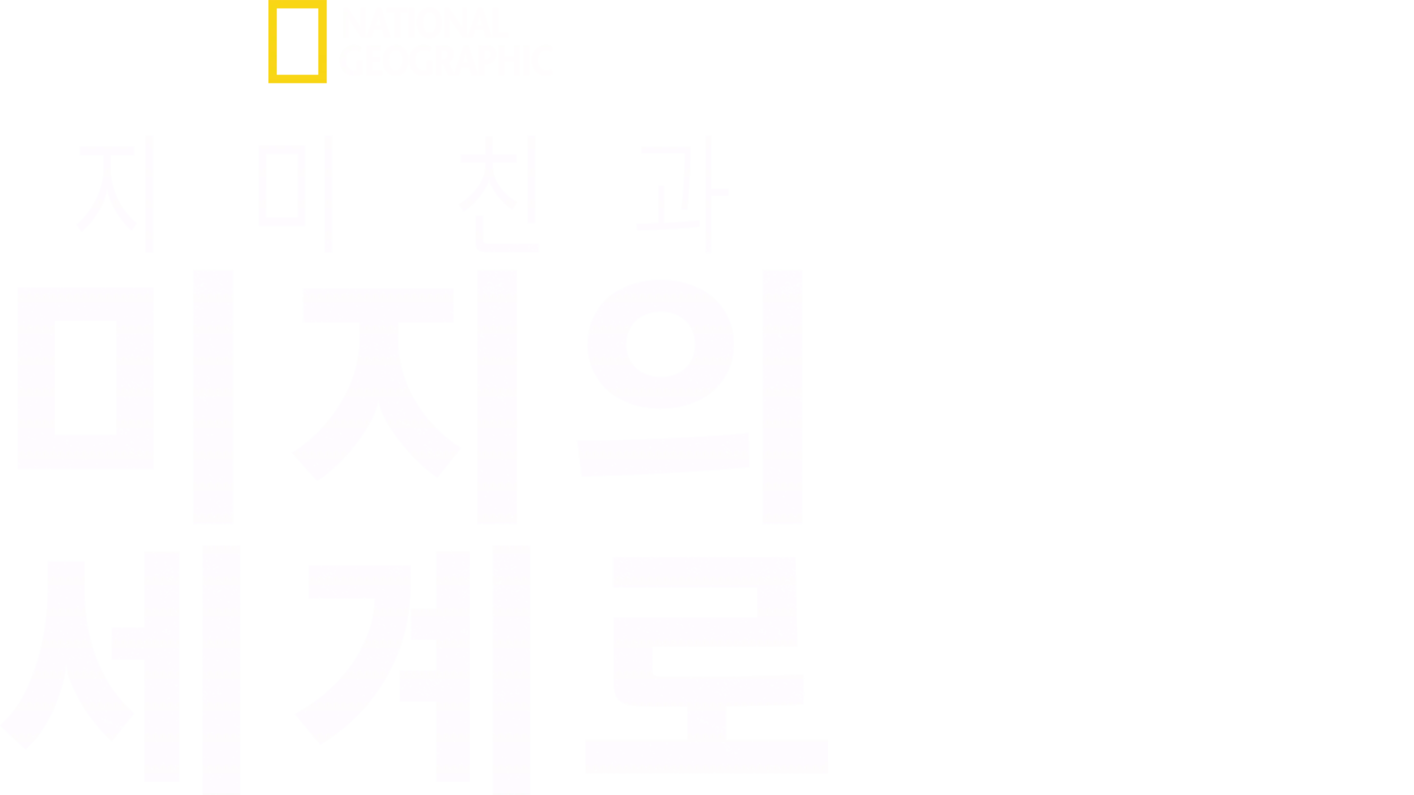 지미 친과 미지의 세계로