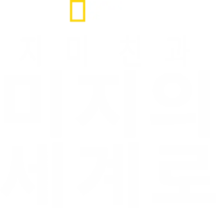 지미 친과 미지의 세계로