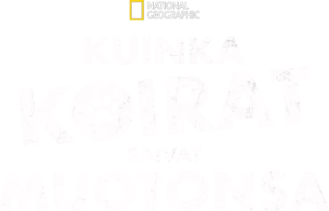Kuinka koirat saivat muotonsa