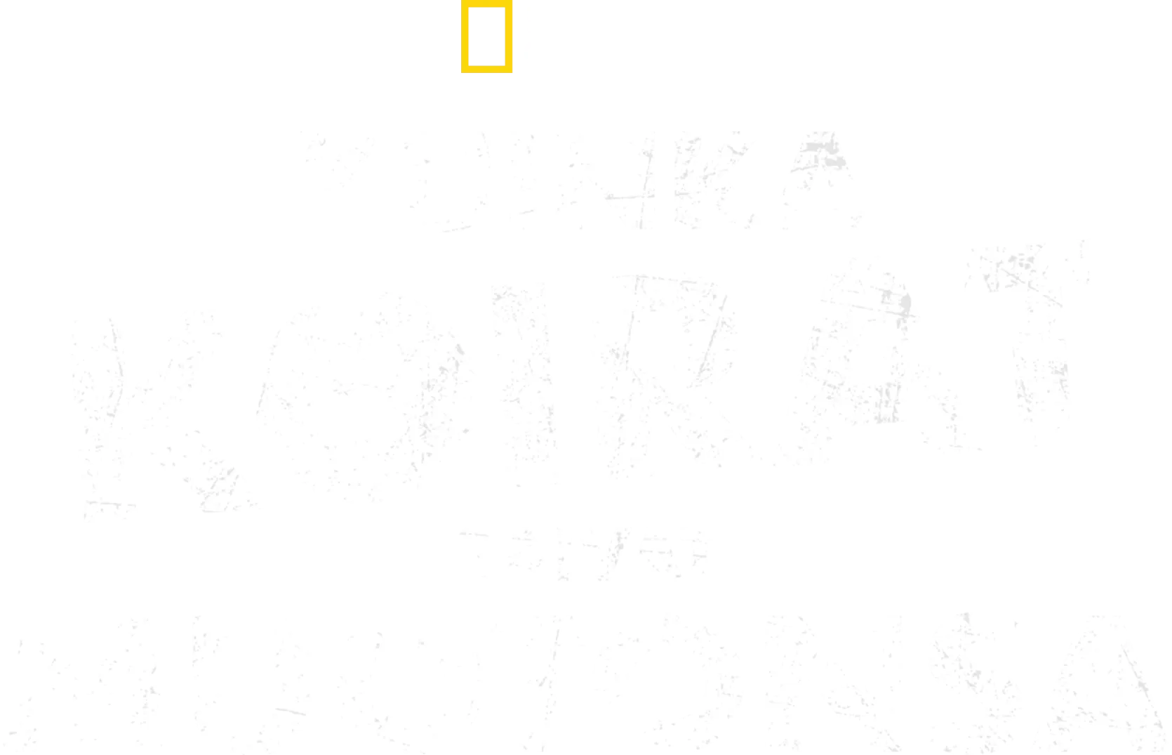 Kuinka koirat saivat muotonsa