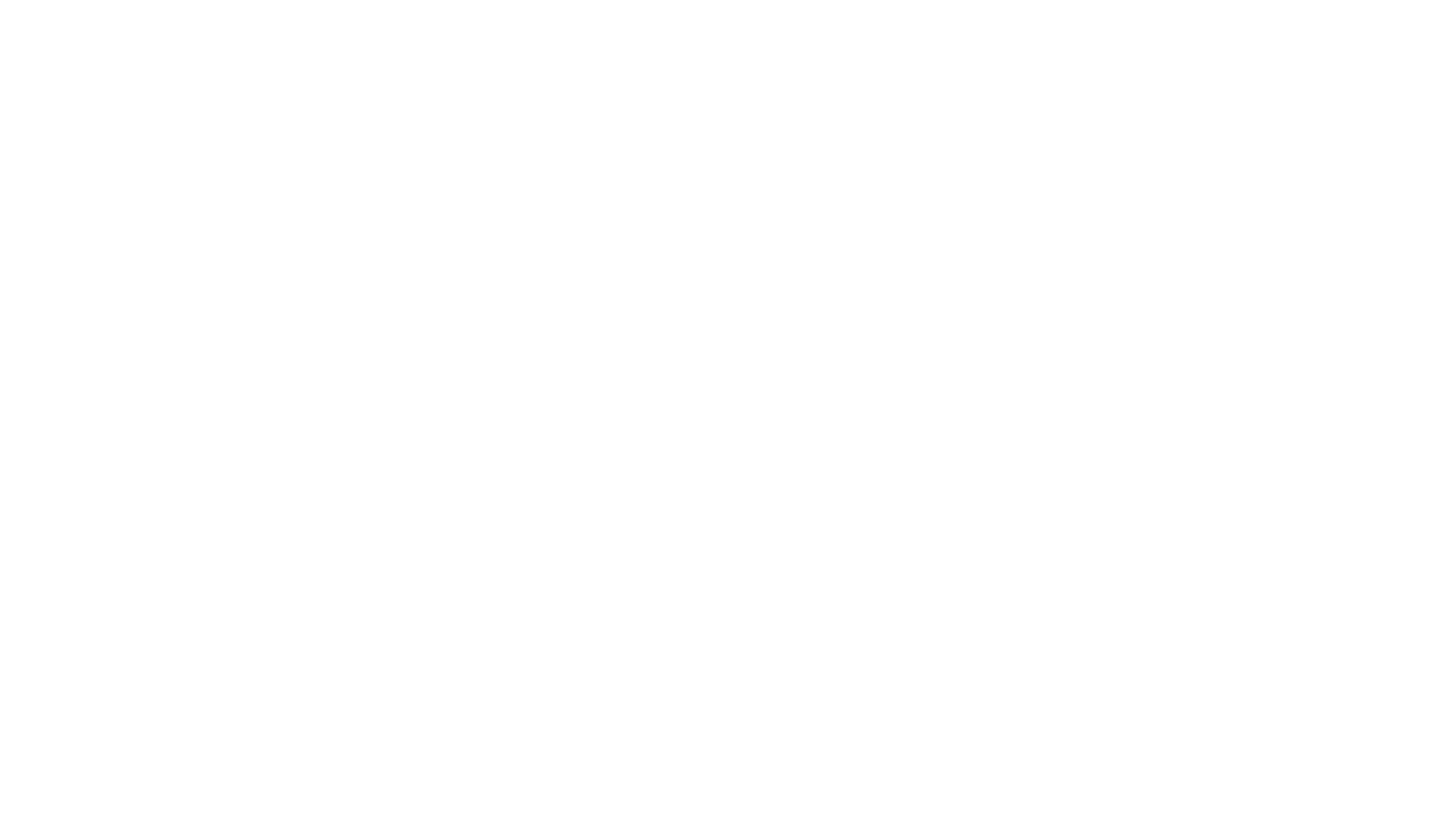 The Art of Racing in the Rain