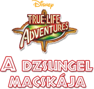 A dzsungel macskája