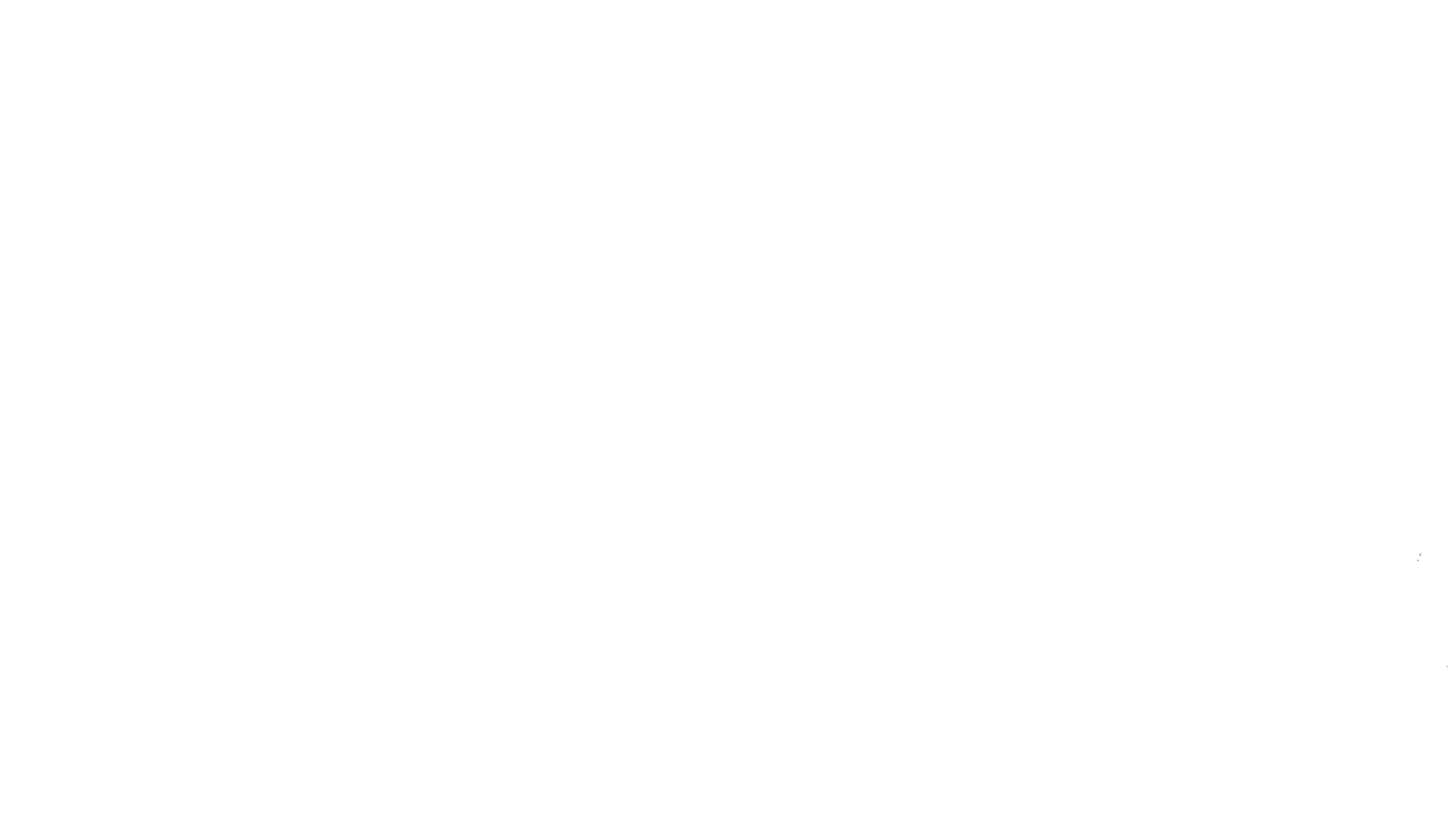 The Choe Show