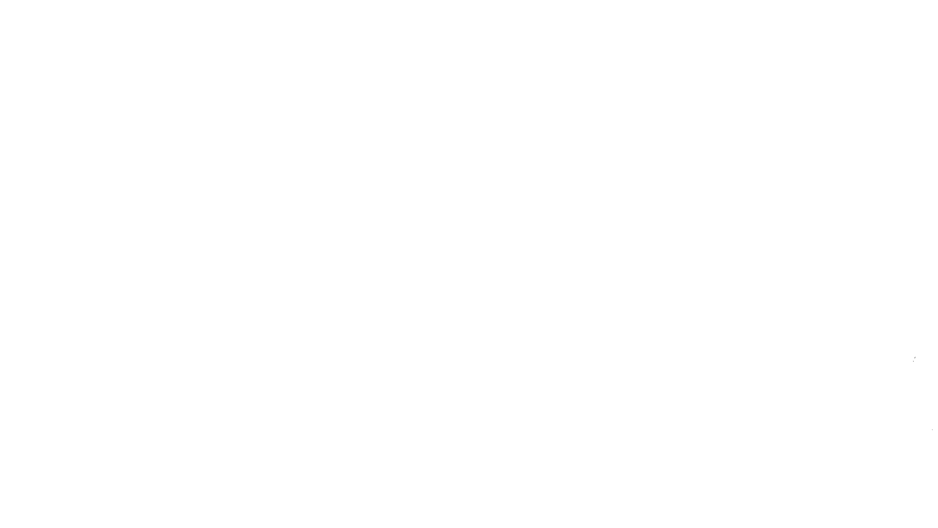 The Choe Show