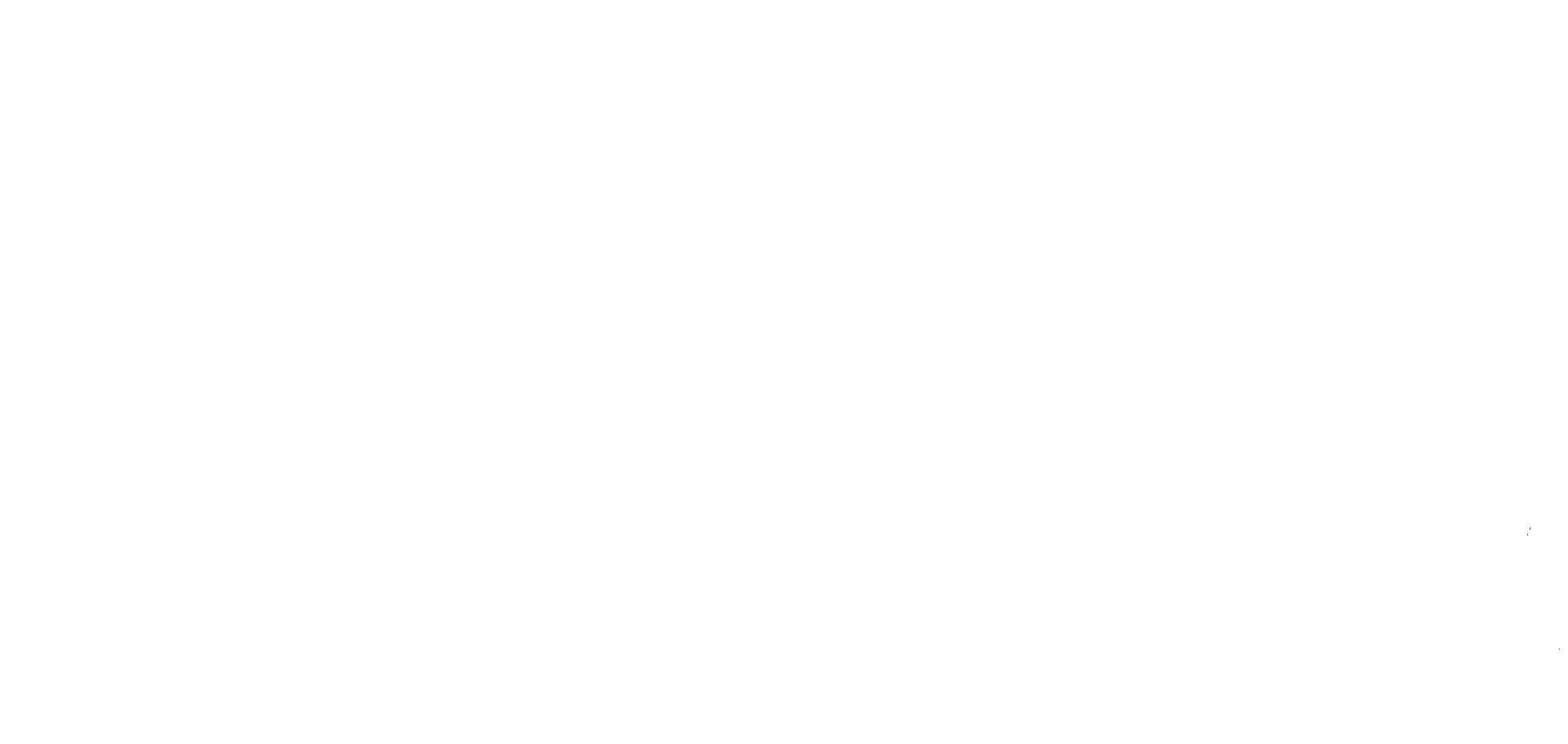 The Choe Show