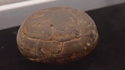 thumbnail - S23:E3 Pawn Barons