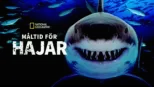 thumbnail - Måltid för hajar