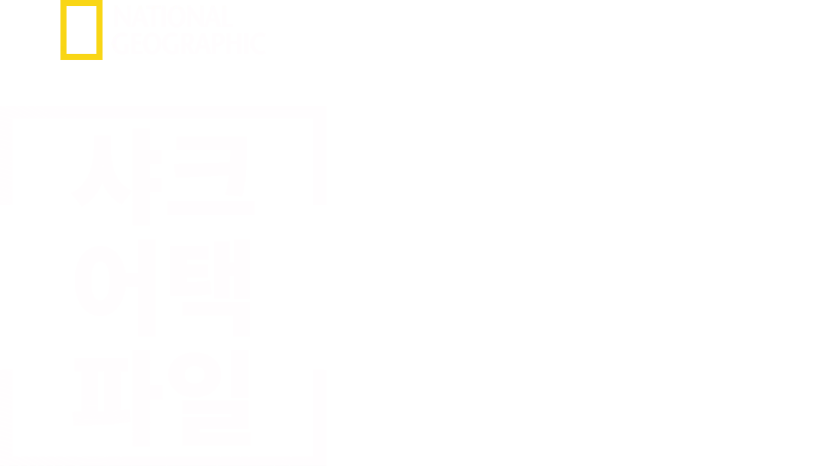 샤크 어택 파일