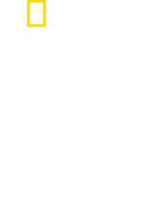 샤크 어택 파일