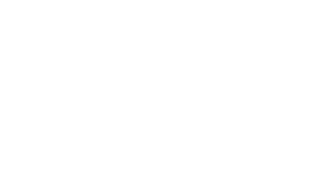 Kejserens nye flip