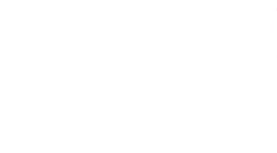 Serkkuni Vinny