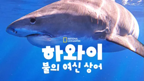 thumbnail - 하와이: 불의 여신 상어