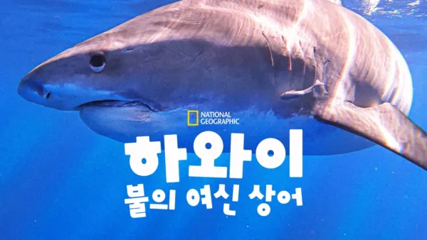 thumbnail - 하와이: 불의 여신 상어