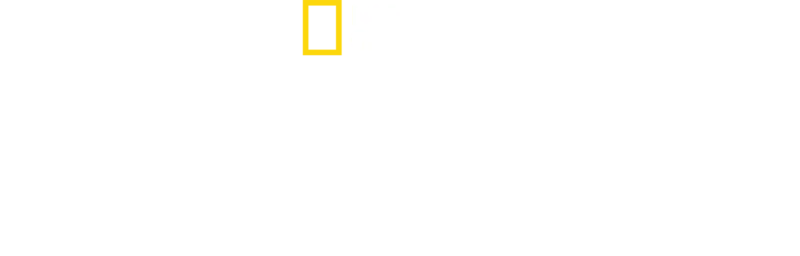 消失的北極