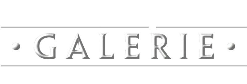 Disney Galerie / Star Wars: Das Buch von Boba Fett